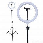 Wholesale 10 inch Selfie Ring Light with 76 inch Tripod Stand & Cell Phone Holder for Live Stream, Makeup, YouTube Video, Photography TikTok, & More Compatible with Universal Phone (Black)